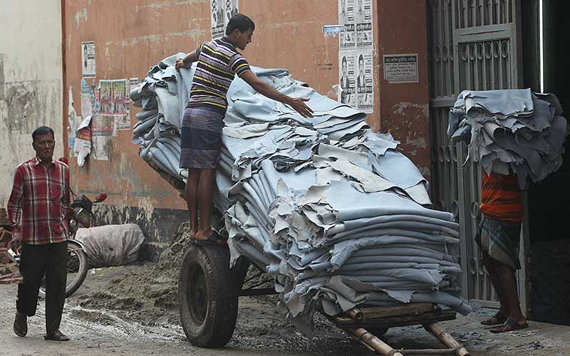 কারখানা থেকে প্রক্রিয়াজাত চামড়া