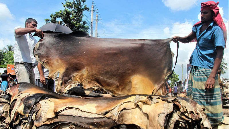 কোরবানির পশুর চামড়া