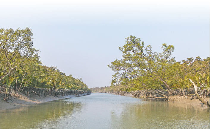 ঋতুভেদে রূপ বদলায় সুন্দরবন। এই শীতে এমন শান্ত সুন্দরবনের দেখাই মিলবে