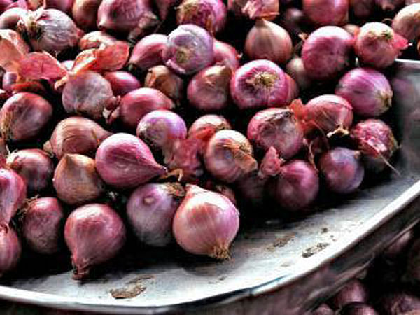 পেঁয়াজ