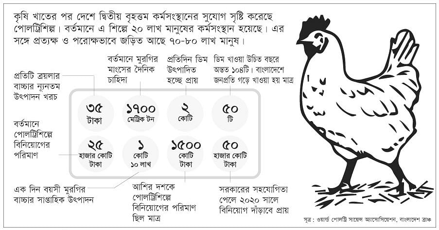 পুষ্টি চাহিদা পূরণ ও অর্থনৈতিক উন্নয়নে পোলট্রিশিল্প | প্রথম আলো