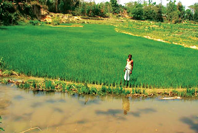 প্রথম আলো ফাইল ছবি