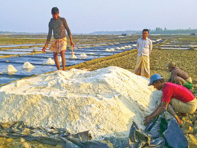 ফাইল ছবি প্রথম আলো