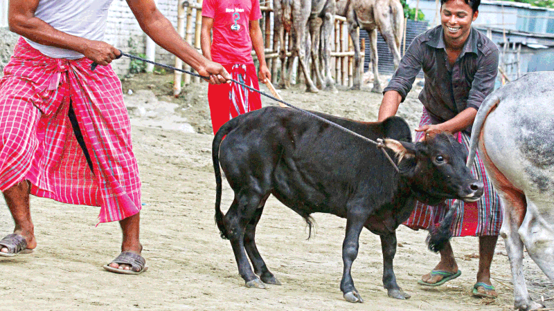 প্রতীকী ছবি 