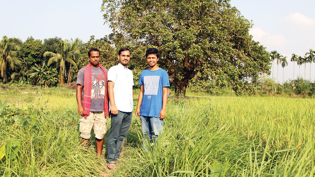 কেরানীগঞ্জের কলাতিয়ায় নিজেদের গড়া কৃষি খামারে তিন তরুণ l ছবি: প্রথম আলো