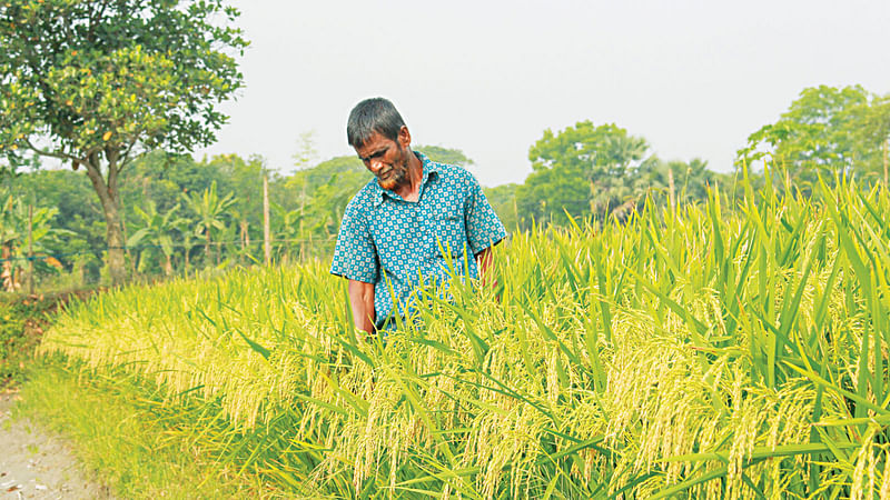 প্রথম আলো