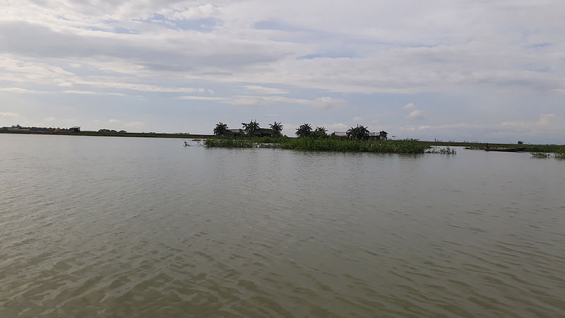 হাওর পরিবেষ্টিত শাল্লার একটি গ্রাম। ছবি: আসাদুজ্জামান