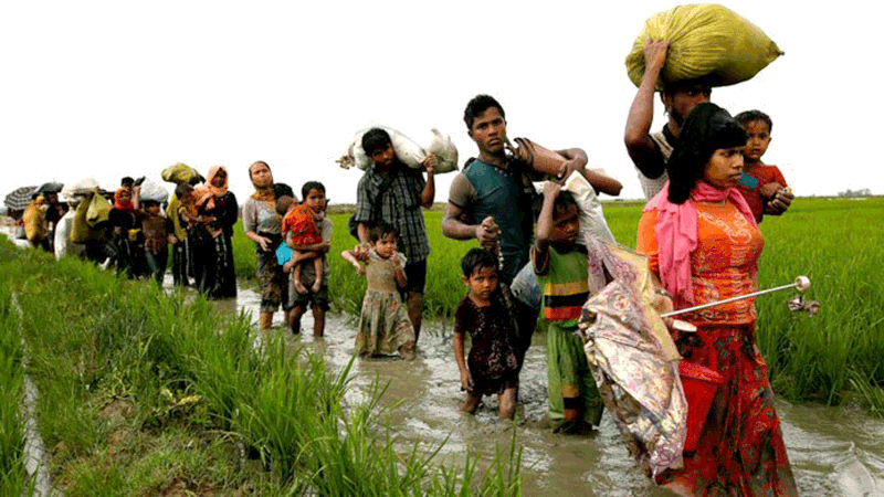 রোহিঙ্গাদের উৎপীড়নের সূত্র শুধু মিয়ানমার সরকারই নয়, আরাকানের বৌদ্ধ সমাজও