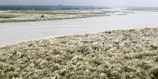 প্রথম আলো ফাইল ছবি