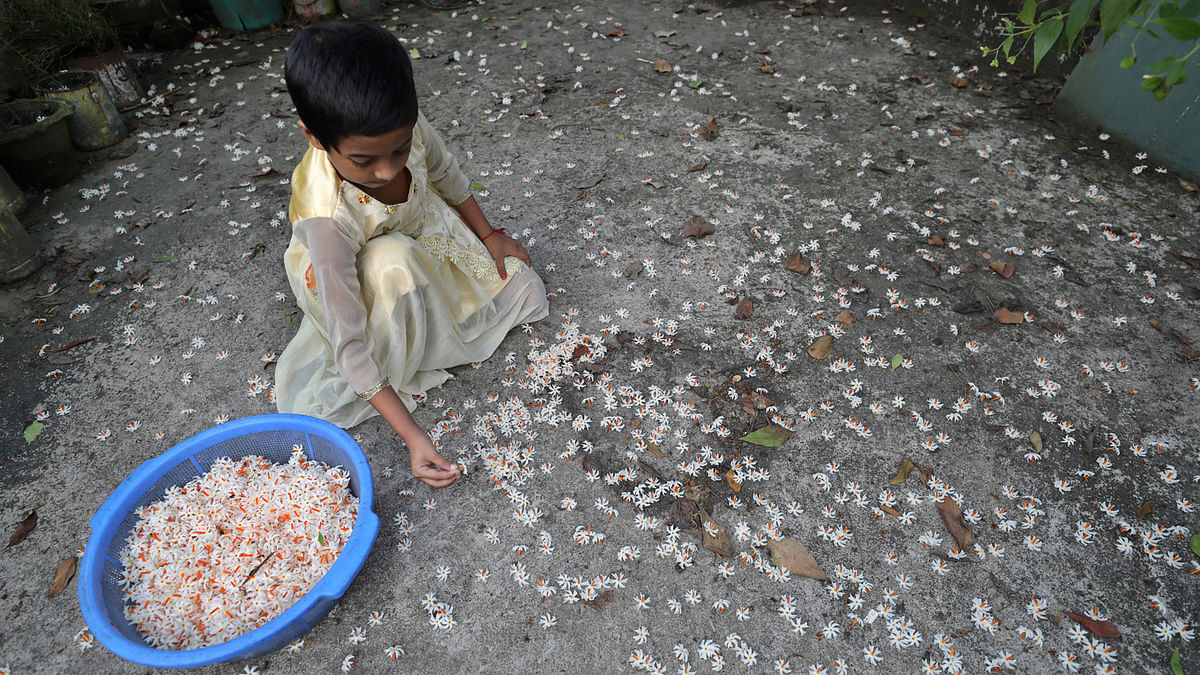 ফুল কুড়াচ্ছে এক শিশু।