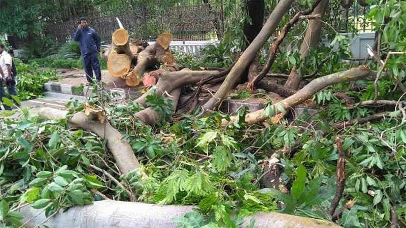 বন ও পরিবেশ মন্ত্রণালয়ের কাজ কি রক্ষা নাকি সংহার করা?