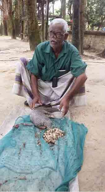 বনরুইকে খাওয়াচ্ছেন বন্য প্রাণী সেবা ফাউন্ডেশনের চেয়ারম্যান সিতেশ রঞ্জন দেব। শ্রীমঙ্গল, মৌলভীবাজার, ১৫ মে। ছবি: শিমুল তরফদার