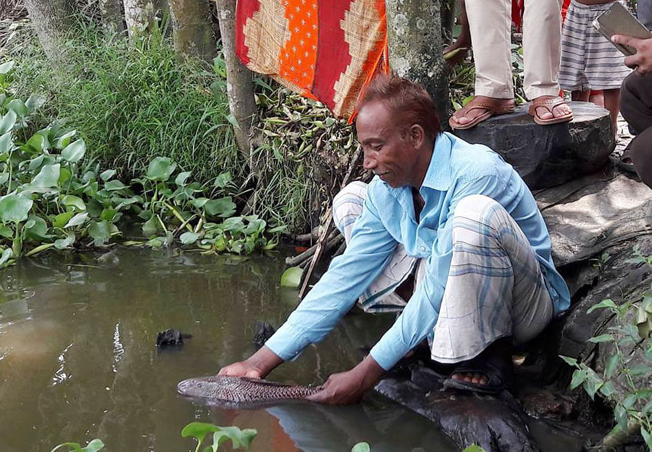 এক জেলের কাছ থেকে কিনে মাছটি পুকুরে ছাড়ছেন আদর মিয়া। পশ্চিম আলিশারকুল, শ্রীমঙ্গল, ২০ জুন। ছবি: প্রথম আলো