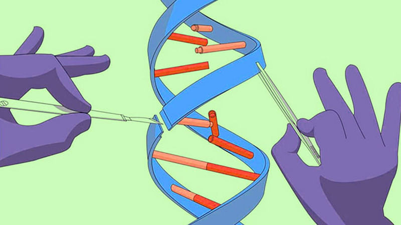 জিন সম্পাদনার একটি পদ্ধতি হচ্ছে ক্রিসপার-ক্যাসনাইন। এখনো পর্যন্ত তৈরি পদ্ধতিগুলোর মধ্যে এটিই সবচেয়ে কার্যকর। প্রতীকী ছবি