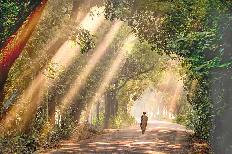 আবদুল মোমিনের তোলা ছবিটি