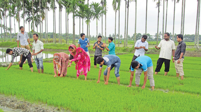 হাতে কলমে শিখে গবেষণায় যুক্ত হওয়ার সুযোগ আছে কৃষি বিষয়ে