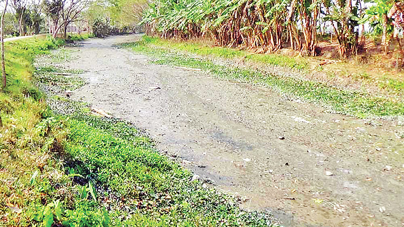 ঝালকাঠির ধানসিড়ি নদী এখন মৃতপ্রায়। গতকাল শহরের গাবখান সেতুর পাশে।  প্রথম আলো