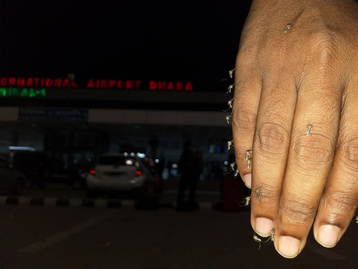 হাতে হামলে পড়েছে মশা। শাহজালাল আন্তর্জাতিক বিমানবন্দর, ঢাকা, ২৩ ফেব্রুয়ারি। ছবি: দীপু মালাকার