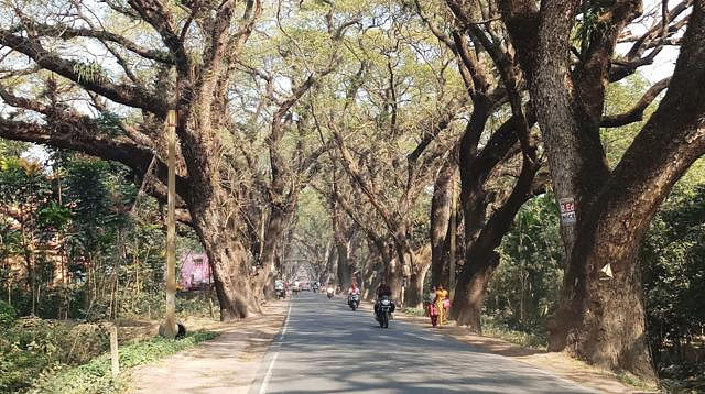 প্রথম আলো ফাইল ছবি