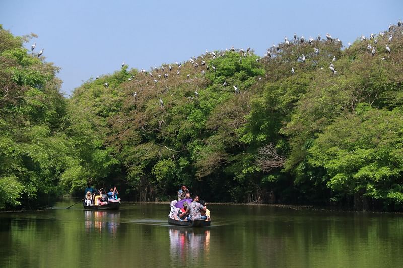 প্রাকৃতিকভাবে বেড়ে ওঠা হিজল-করচ-বরুণগাছের পাশাপাশি বেত, ইকরা, খাগড়া, মুর্তা ও শণজাতীয় গাছ রাতারগুলকে জলাবন হিসেবে অনন্য করেছে।