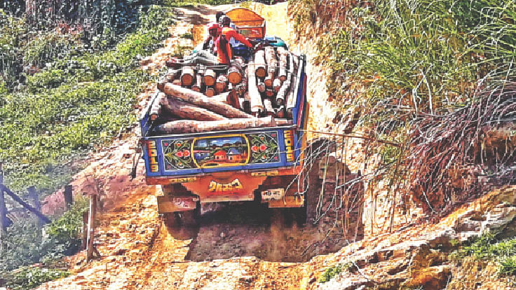 বান্দরবানের রোয়াংছড়ি উপজেলার দুর্গম ব্যাঙছড়ির গভীর বনের ভেতরে গাছ পাচারকারীদের তৈরি একটি গোপন রাস্তা। এই রাস্তা দিয়ে ট্রাকে বোঝাই করে গাছ পাচার করা হচ্ছে। সম্প্রতি ব্যাঙছড়ি এলাকার তারাছা খালের পাড়ে।  প্রথম আলো