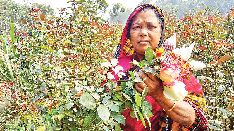 যশোরের ঝিকরগাছার শাহানারা খাতুন ফুল চাষ করে পেয়েছেন সফলতা।  প্রথম আলো