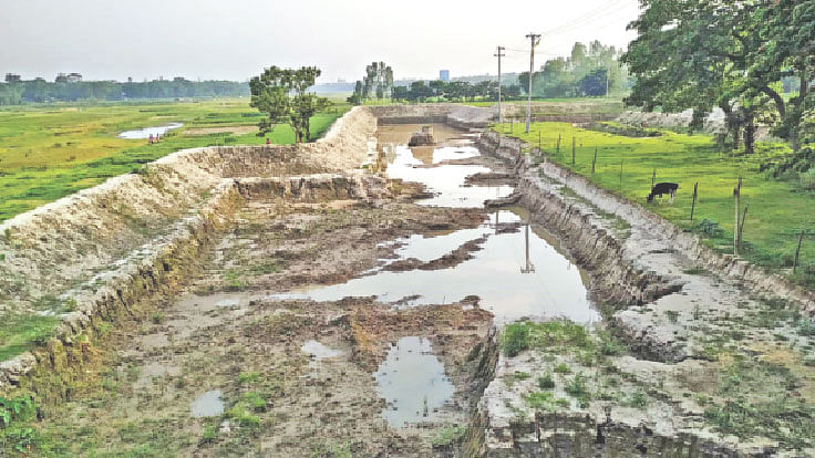 ফসলি জমির মাটি কেটে নেওয়া হচ্ছে ইটভাটায়। বেলাব উপজেলার গাংকুল পাড়ায়।  প্রথম আলো