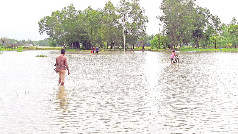 টানা ভারী বর্ষণে কমলগঞ্জের শমশেরনগর ইউনিয়নের ভরতপুর গ্রামের নিমজ্জিত ফসলি জমি ও গ্রাম্য রাস্তা গতকাল।  ছবি: প্রথম আলো