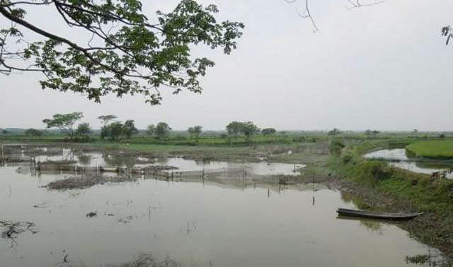 ভবদহ অঞ্চলের কোনো বিলে জোয়ারাধার চালু না থাকায় সাগর থেকে জোয়ারের সঙ্গে আসা পলি জমে উঁচু হচ্ছে শ্রী, হরি ও টেকা নদীর বুক। ছবিটি ভবদহ স্লুইসগেট-সংলগ্ন শ্রী নদী থেকে সম্প্রতি তোলা । প্রথম আলো