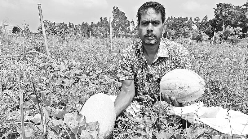 সাম্মামখেতে মনিরুল ইসলাম।  প্রথম আলো