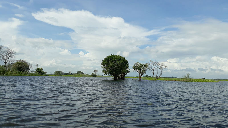 আড়িয়াল বিল। গত বছরের ছবি। ছবি: সুহাদা আফরিন