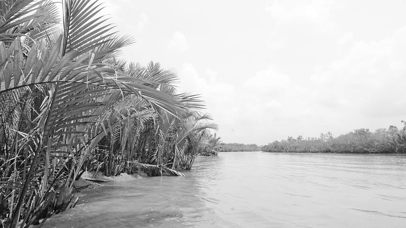 রামপালে কয়লাভিত্তিক বিদ্যুৎকেন্দ্র নির্মাণের কারণে সুন্দরবন ভয়াবহ হুমকির মুখে রয়েছে