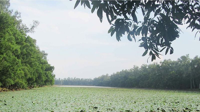 আলতাদিঘি ছবি: লেখক