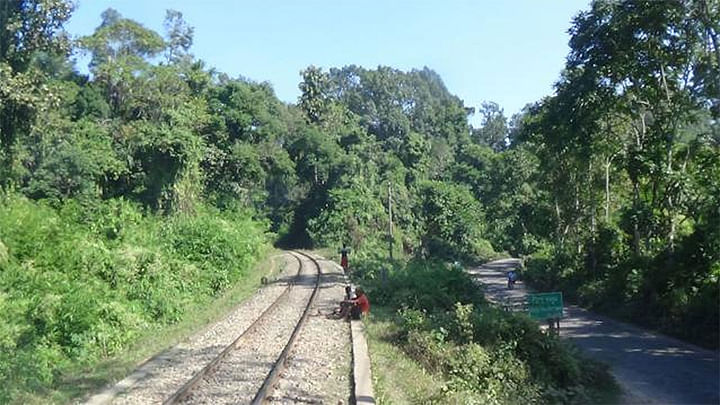 লাউয়াছড়া জাতীয় উদ্যান। ফাইল ছবি