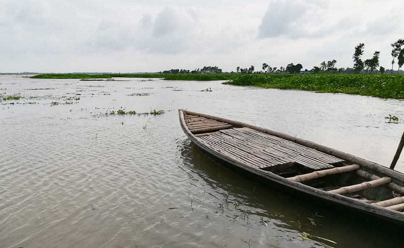 রক্তদহের বিল। ছবি: লেখক