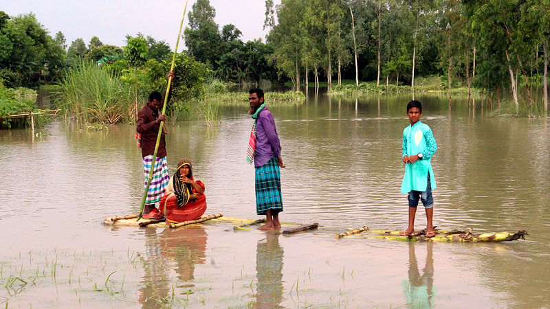 পথঘাট ও বসতবাড়িতে বন্যার পানি ঢুকে পড়েছে। তাই কলাগাছ দিয়ে তৈরি ভেলায় পারাপার হচ্ছেন স্থানীয়রা। বাচামারা, দৌলতপুর, মানিকগঞ্জ, ২২ জুলাই। ছবি: আবদুল মোমিন