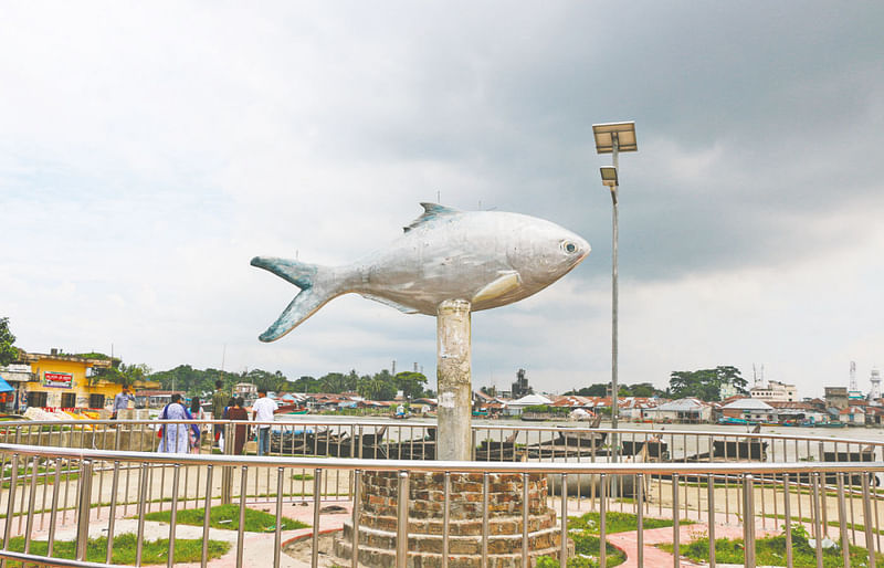 চাঁদপুরে ইলিশের বাড়িতে ইলিশের ভাস্কর্য