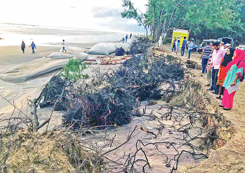 সৈকতে পড়ে আছে জোয়ারের ধাক্কায় উপড়ে যাওয়া ঝাউগাছের গোড়া। গতকাল বিকেলে সৈকতের কবিতা চত্বর পয়েন্টে।  প্রথম আলো