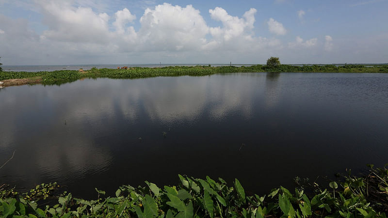 বর্ষায় বাইক্কাবিল অসাধারণ রূপ ধারণ করে। ছবি: মো. ফখরুল ইসলাম