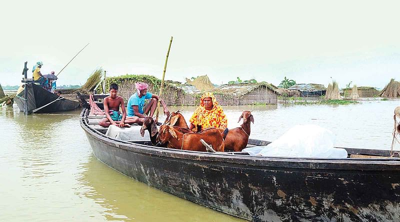 পদ্মা নদীতে পানি বাড়ায় ডুবে গেছে বসতবাড়ি। পোষা ছাগল নিয়ে নৌকায় আশ্রয় নিয়েছে কয়েকটি পরিবার। গতকাল রাজশাহীর পবার চরখিদিরপুরে।  ছবি: শহীদুল ইসলাম