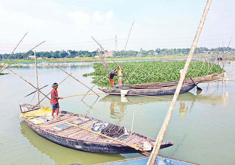 বাঁশ ও গাছের ডাল ফেলে ধরা হচ্ছে মাছ। গতকাল সোনারগাঁয়ে চরগোয়ালদী এলাকায় মেঘনা নদীতে।  ছবি: প্রথম আলো