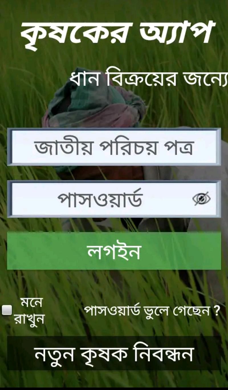 কৃষকদের কাছ থেকে ২৬ টাকা কেজি দরে ধান কিনবে সরকার। ছবি: সংগৃহীত