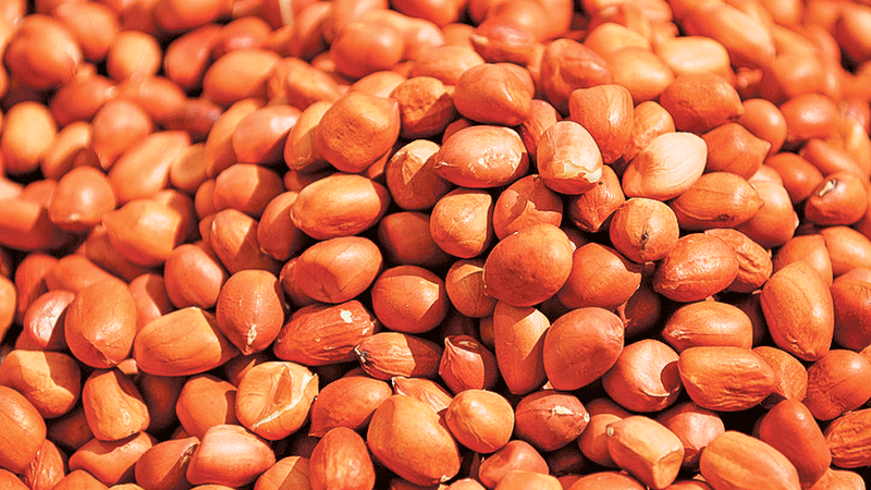 চিনাবাদাম