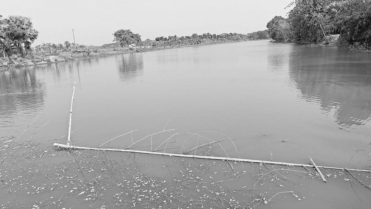 যশোরের ঝিকরগাছার রাধানগর এলাকায় বেতনা নদী দখল করে মাছ চাষ করা হচ্ছে।  প্রথম আলো