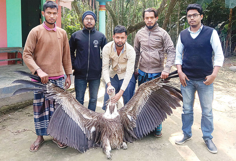 উদ্ধার করা বাংলা শকুন। ছবি: সংগৃহীত