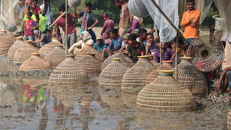 পলো দিয়ে মাছ ধরার প্রস্তুতি