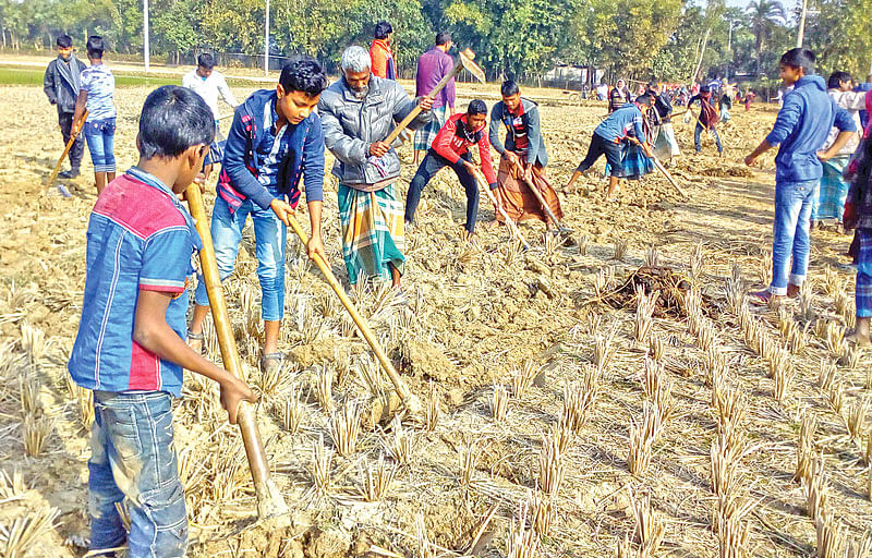 স্বেচ্ছাশ্রমে রাস্তা তৈরির কাজে হাত লাগায় নওগাঁর ধামইরহাট উপজেলার মণিপুর ও হরিতকীডাঙ্গা গ্রামের ছেলে-বুড়ো সবাই।  ছবি: প্রথম আলো