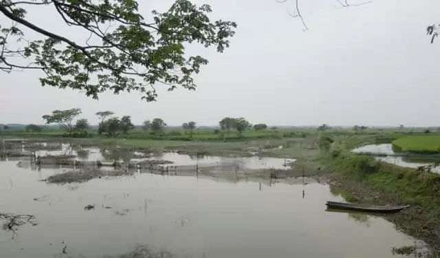 ভবদহ অঞ্চলের কোনো বিলে জোয়ারাধার চালু না থাকায় সাগর থেকে জোয়ারের সঙ্গে আসা পলি জমে উঁচু হচ্ছে শ্রী, হরি ও টেকা নদীর বুক। ছবিটি ভবদহ স্লুইসগেট-সংলগ্ন শ্রী নদী থেকে তোলা । প্রথম আলো