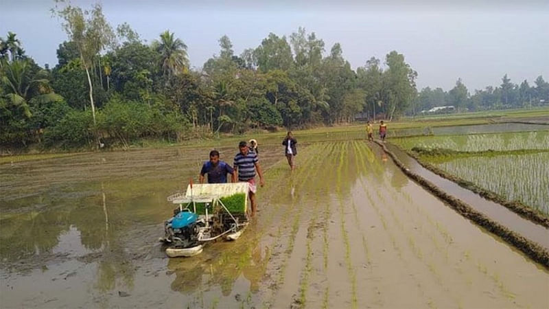 রাইস ট্রান্সপ্লান্টার দিয়ে বোরোর চারা রোপণ করা হচ্ছে। এ যন্ত্রে স্বল্প সময়ে সারিবদ্ধভাবে চারা রোপণ করা যায়।  ছবি: প্রথম আলো