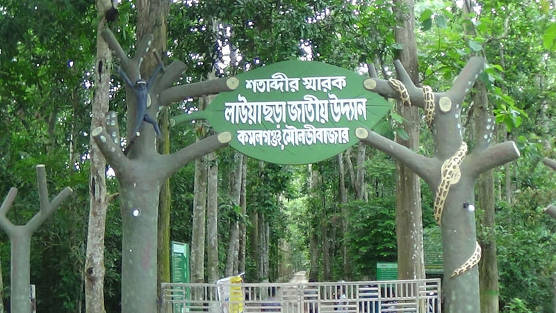 প্রথম আলো ফাইল ছবি